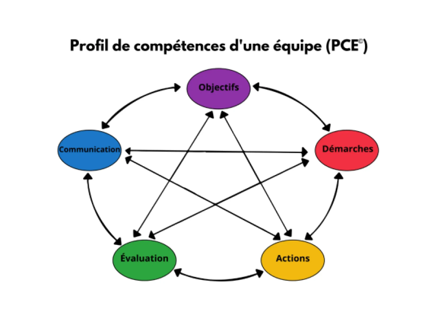 Profil de compétences d'une équipe